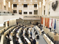 Nach der Salzburg-Wahl am 22. April will der Bundesrat entscheiden, ob man den GRÜNEN 1,5 Mio. EURO Steuergeld 