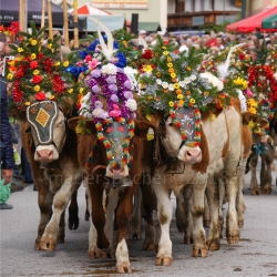 Traditioneller Reither Bauernmarkt mit Almabtrieb und Kirchtag