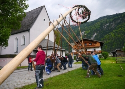 Mit jedem Kommando von FF-Kdt Hanspeter Ostermann bringen die Männer den Maibaum in die Senkrechte