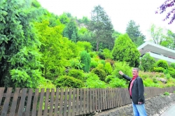 Bgm. Ing. Rudi Puecher: „Über diesen Hang donnerte der Felsbrocken bis auf die Straße.“