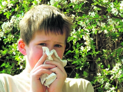 Pollen-Allergiker können ab Anfang August wieder aufatmen. Dann endet die &quot;Pollen-Saison&quot;.