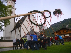 Maibaum-Aufstellen mit reiner Muskelkraft in Radfeld