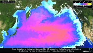 Diese Grafik zeigt die Verbreitung radioaktiver Partikel im Pazifik. Umwelt-Organisationen raten bereits dazu, keinen Fisch aus dem Pazifik zu essen.  