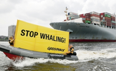 Will sich Europa mit einem Land einlassen, das immer noch aktiven Walfang betreibt? 