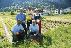 V.l., stehend: Richard Norz (Landwirtschaftskammer-Direktor), Johann Strillinger (Gärtnerei-Chef) und Margreth Osl (Bezirks-Bäuerin). V.l., kniend: Johannes Gwiggner (Bezirkskammer-Obmann) und Josef Hechenberger (Landwirtschaftskammer-Präsident). 