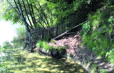 Dieser Zaun am Süd-Ufer der Halbinsel verhindert die Begehung des Grundstücks. Laut Grundbuch ist das Ufer jedoch als Allgemein-Teil des Sees ausgewiesen.