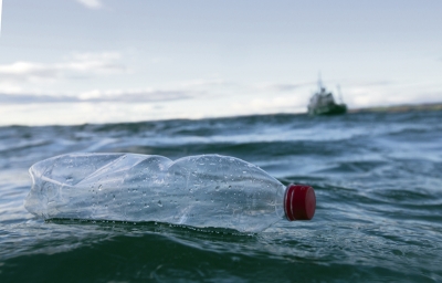 Plastik-Flaschen bleiben bis zu 450 Jahre im Meer. Die Mikroplastik-Partikel werden von Fischen gefressen und kommen so in die Nahrungskette und zum Menschen.