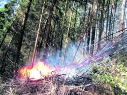 Aufgrund des starken Föhns standen im Bezirk Schwaz insgesamt 17 Feuerwehren an 19 Einsatzorten im Einsatz.