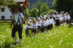 Die Radfelder Grasausläuter folgen dem Senner bei herrlichstem Kaiserwetter