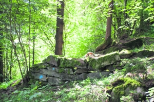 Diese Steinmauern im Ratzenwald stammen noch aus der Zeit, als der Wallische Johann, ein Trentiner Steinmetz, dort in einer Höhle hauste.