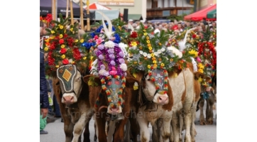 Traditioneller Reither Bauernmarkt mit Almabtrieb und Kirchtag